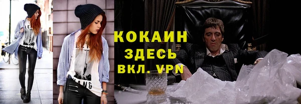 индика Бородино