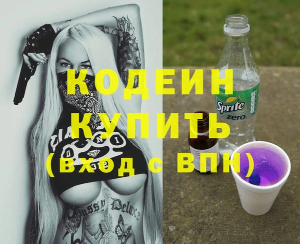 индика Бородино