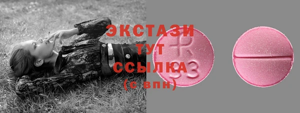 индика Бородино