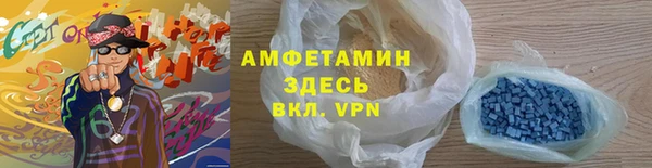 индика Бородино