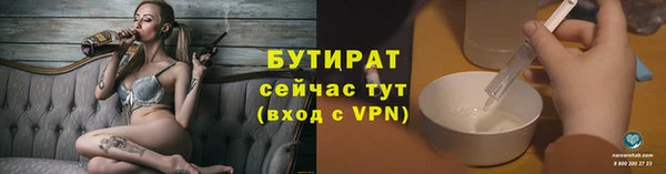 индика Бородино