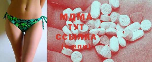 индика Бородино