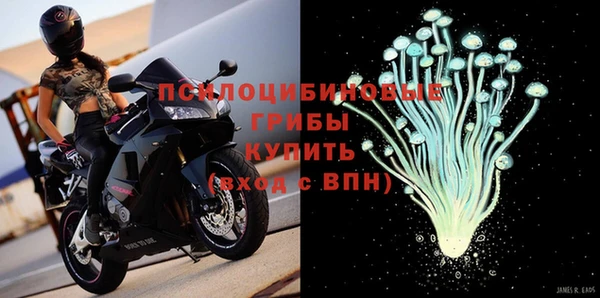ГАЛЛЮЦИНОГЕННЫЕ ГРИБЫ Бугульма