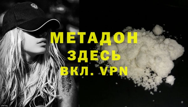 индика Бородино