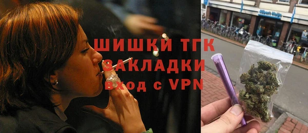 индика Бородино