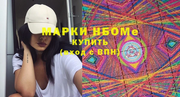 индика Бородино