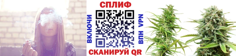 Бошки марихуана план  где купить наркоту  Можайск 